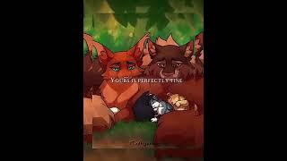 I just found one of my old edits! || Matching wounds || #warriorcats #edits #brambleclaw #tawnypelt