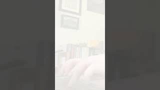 Camp NaNoWriMo Day# 2 — July 2023 #authortube #booktube