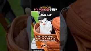 산책하다가 아기 주머니쥐를 주우면? #동물 #주머니쥐