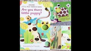 Usborne Little Peek-Through Books: Are you there little puppy?