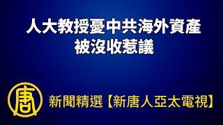 人大教授憂中共海外資產被沒收惹議｜@ChinaBreakingNewsTV ｜20220909