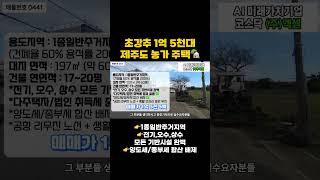 [매물번호0441]  초강추 1억 5천대 제주도 농가주택 #제주도부동산