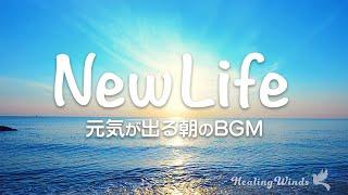 【新生活】最高の1日の始まりに！元気が出る朝のBGM自分に優しくなる自分を許す11の言葉 Start A New Life  Morning Music to Boost Your Mood