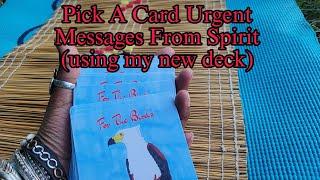 Pick A Card Urgent Messages From Spirit | Using New Oracle Deck in Nature