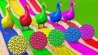 5 Giant Ducks Cartoon, Elephant, Gorilla, Lion, Buffalo, Dinosaur With Balls Game - Animals 3D