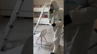 Уничтожение насекомых в частном доме от службы дезинсекции и дезинфекции
