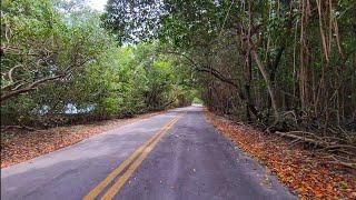 4K Wading Beach Matheson Hammock Park , Winter Cycling Travel Tour , Miami FL , February 2025