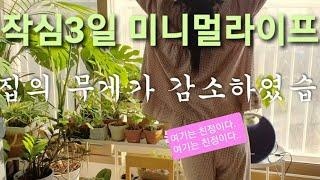 분기별 작심삼일 미니멀라이프 4년차면 몹쓸병이 조금 낫는다(4일차에 이케아 출동한 미니멀 3일신 내린 여자)