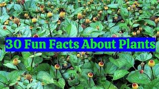 30 Fun Facts About Plants