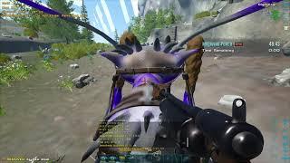 Ark Official PVE- Solo Alpha Maewing Poach-No cheats!