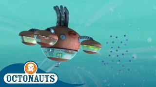 Octonauts - Riding the Rapids | Cartoons for Kids