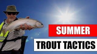 Summer Tactics For Trout #flyfishing #fishing #catchandrelease