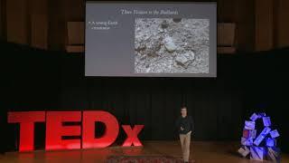 The Aesthetic Importance of the Past | Derek Turner | TEDxConnecticutCollege