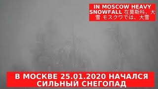 В Москве 25.01.2020 начался сильный снегопад In Moscow heavy snowfall 在莫斯科，大雪 モスクワでは、大雪  ziminvideo