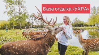 База отдыха УХРА |Олений парк |Отдых с семьей на природе |Отдых на реке Ухра