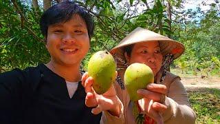 Mùa Xoài,Út Huy Đi Lụm Xoài Cùng Mẹ Trên Rừng | Uthuyvlogs.