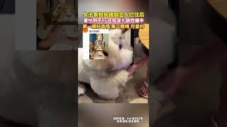 极光新闻