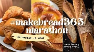 Recipe MARATHON - 12 Recipes with 100% Freshly Milled Wheat | #MakeBread365 Challenge