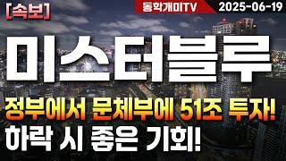 미스터블루-정부에서 문체부에 51조 투자! 하락 시 좋은 기회!