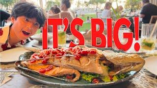 Big Island Hawaii Food Tour: Top 5 Fine Dining Restaurants