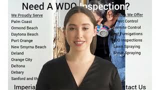 What is a WDO inspection?