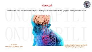 İnsan Anatomisi ve Kinesiyolojisi KPSS part I