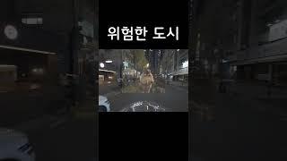 [리얼배달극장] 그이 밤은 낮보다 뜨거웠다