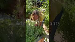Things Gardeners Say-with Nicole Johnsey Burke of Gardenary #greenthumb