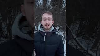 Можно ли запрогать снег?  #информатика #школково  #огэ