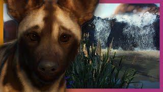  Wild Dogs & Waterfalls | Planet Zoo Beta