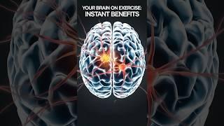 Your Brain on Exercise: Instant Benefits