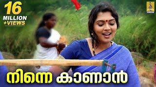 നിന്നെ കാണാൻ എന്നെക്കാളും | Ninne Kanan Ennekkalum | നല്ലമ്മ നാടൻ പാട്ട് | Durga Viswanath | Folk