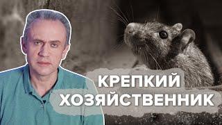 Крепкий хозяйственник - минутный комментарий 4