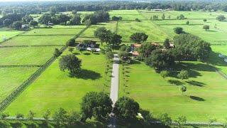 OCALA HORSE FARMS 1600 NE 105 Ln Antony