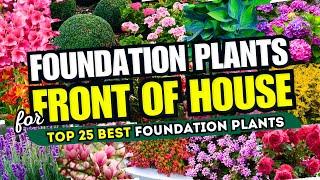  25 Best FOUNDATION PLANTS for Front of House!  FRONT YARD FABULOUSNESS! 