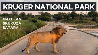 Kruger National Park - The Kruger Catwalk