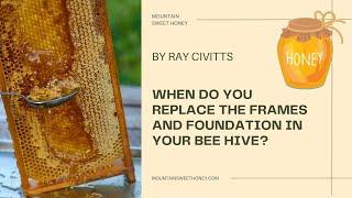 When do you replace the frames and foundation in your bee hive?