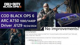Call of Duty Black ops 6 ARC A750 Driver 6129 Test / 1080P 1440P