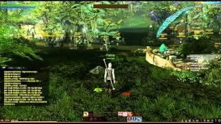 Playing Archeage: English language newbie playing on Korean server