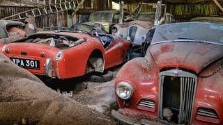 We Found RARE Classic Cars ABANDONED in a Barn