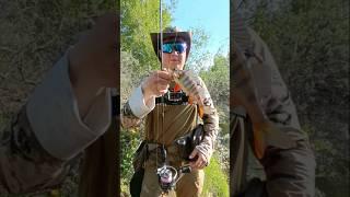 Как поймать окуня на микроджиг? ловля окуня на меляке #мормышинг  #ультралайт #окунь #микроджиг #jig