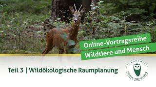 DJV-Online-Vortragsreihe „Wildtiere und Mensch“ | Teil 3: Wildökologische Raumplanung