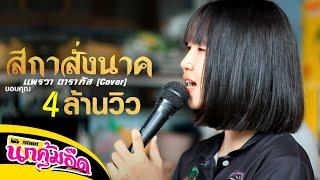 สีกาสั่งนาค - แพรวา ดาราภัส [Cover] #มาแรง #รถแห่นกคุ้มอืดมิวสิค