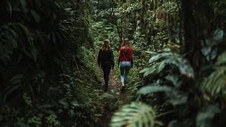 ¡PELÍCULA FUERTE! Las novias cayeron en las garras - PELÍCULAS DE TERROR 2023