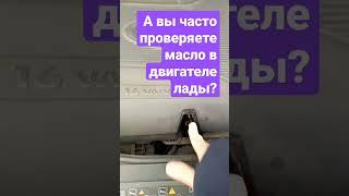 Лада х рей 1л на 10 000т км масла.