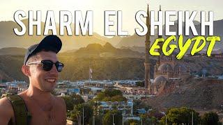 6 THINGS TO DO IN SHARM EL SHEIKH EGYPT 