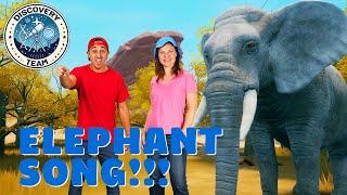  "Elephant Song"  |The Discovery Team | Fun for Kids 