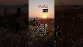 인생의참맛 #바람에 갈대가 이리저리 흔들리고 # 아름답게지는석양의 노을빛