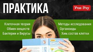 Вебинар практика | Биология ЕГЭ | Учи-Учу