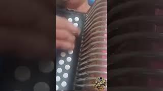 Accordion Cinco Estrella… Nonito en la Loma… MERENGUE TIPICO #merenguetipico #tipicoenvivo